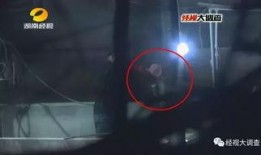给猪灌泥浆爆料视频教程,传统养殖新方法揭秘