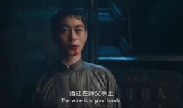 功夫老师 在线观看,在线观看，领略中华武术精髓