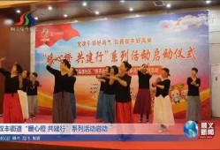 顺义电视台新闻爆料,揭秘某重大事件背后真相